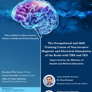 The Occupational and Skill Training Course of Non-invasive Magnetic and Electrical Stimulation of the Brain with TMS and TES